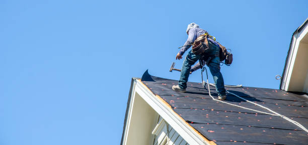 Best Roof Leak Repair  in Hoisington, KS